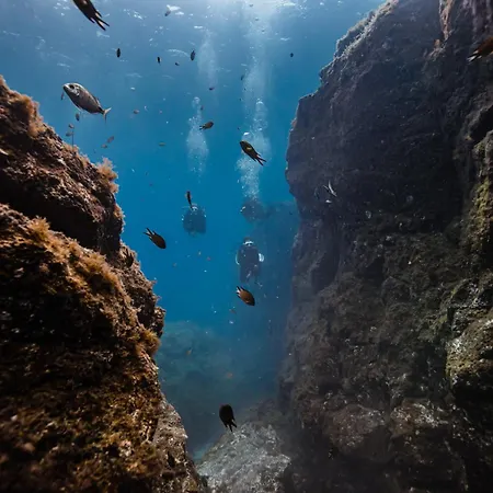 Διαμέρισμα Casa Ayla Montecastillo A8 *